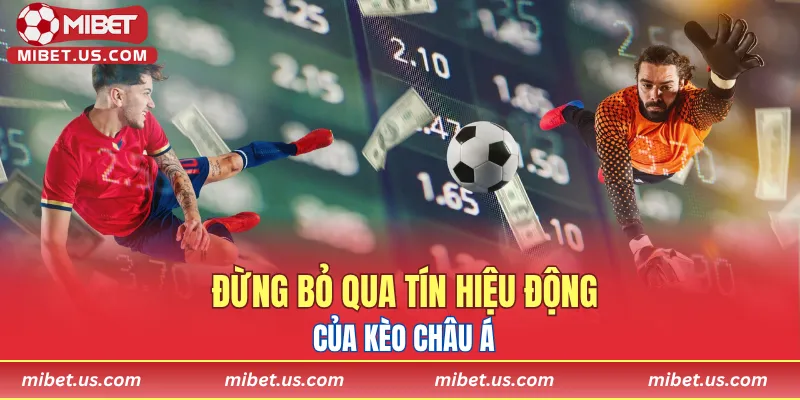 Đừng bỏ qua tín hiệu động của kèo châu Á