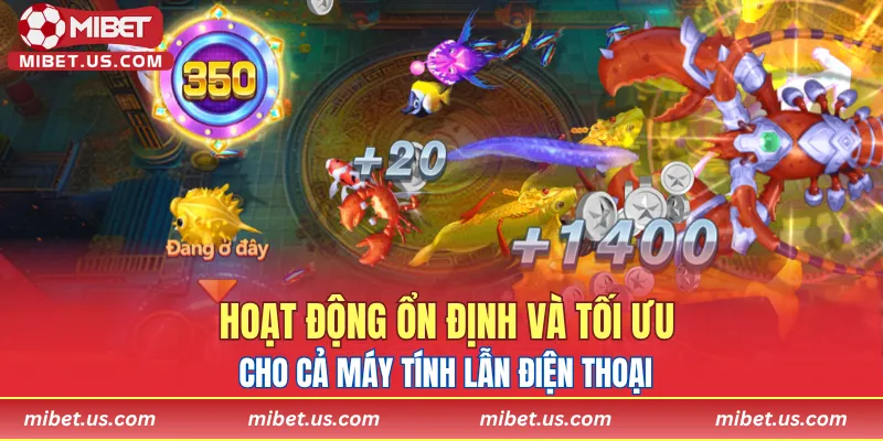 Hoạt động ổn định và tối ưu cho cả máy tính lẫn điện thoại