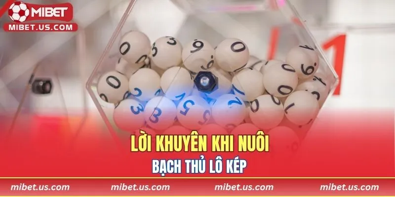 Lời khuyên khi anh em nuôi bạch thủ lô kép
