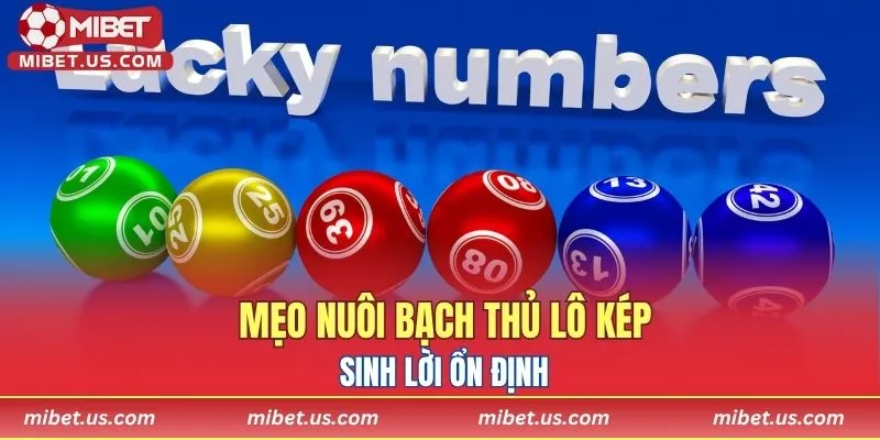 Mẹo nuôi bạch thủ lô kép sinh lời ổn định