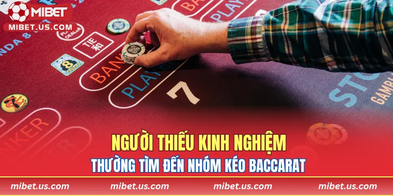 Người thiếu kinh nghiệm thường tìm đến nhóm kéo Baccarat