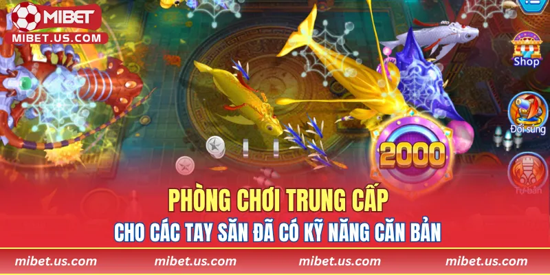 Phòng chơi trung cấp cho các tay săn đã có kỹ năng căn bản