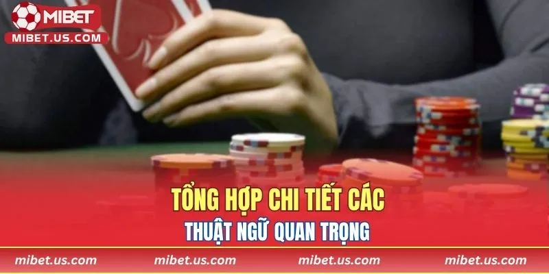 Tổng hợp chi tiết các thuật ngữ quan trọng